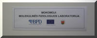 Mokomosios molekulin�s fiziologijos laboratorijos dur� fragmentas